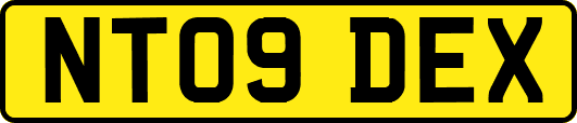 NT09DEX