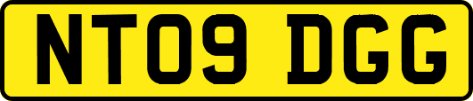 NT09DGG
