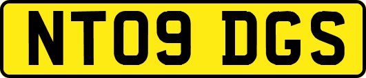 NT09DGS