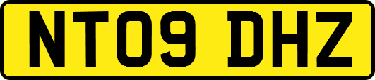 NT09DHZ
