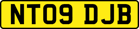 NT09DJB