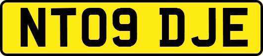NT09DJE