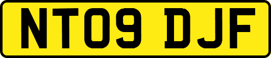 NT09DJF