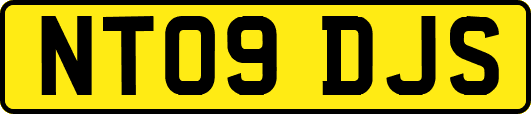 NT09DJS