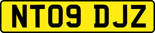 NT09DJZ