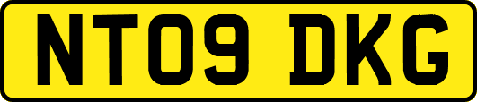 NT09DKG