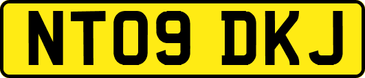 NT09DKJ