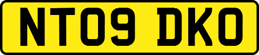 NT09DKO