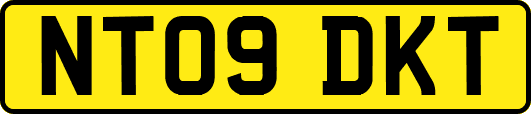 NT09DKT