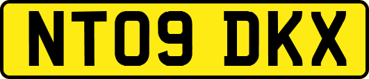 NT09DKX