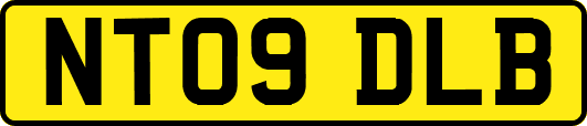 NT09DLB