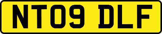 NT09DLF