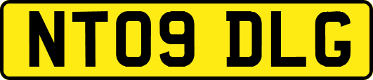 NT09DLG