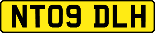 NT09DLH