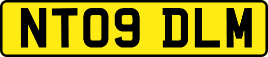 NT09DLM