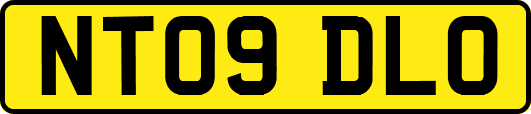 NT09DLO
