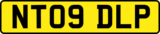 NT09DLP