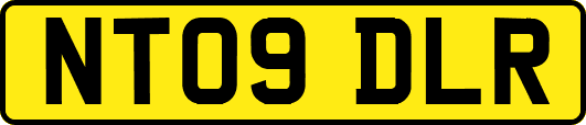 NT09DLR