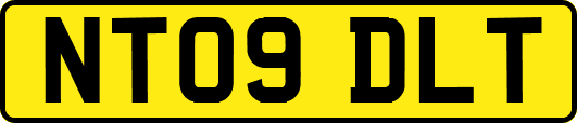 NT09DLT