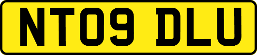 NT09DLU