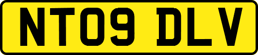NT09DLV