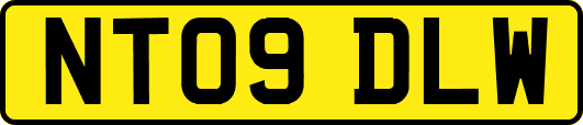 NT09DLW