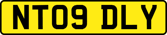 NT09DLY