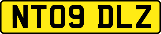 NT09DLZ