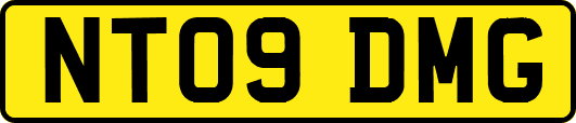 NT09DMG