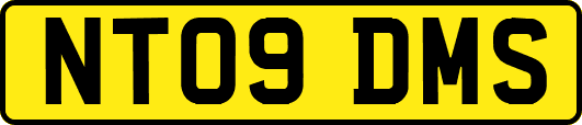 NT09DMS