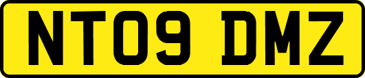 NT09DMZ