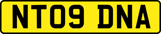 NT09DNA