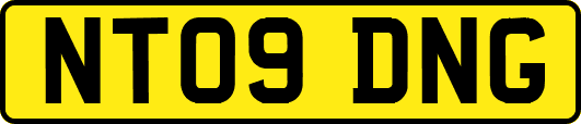 NT09DNG