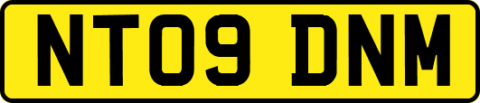 NT09DNM