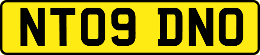 NT09DNO