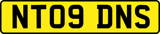 NT09DNS