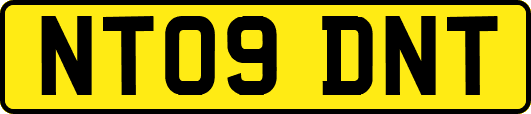 NT09DNT