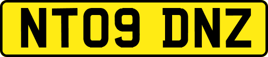 NT09DNZ