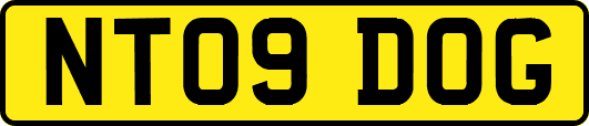 NT09DOG