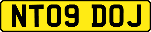 NT09DOJ