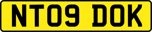 NT09DOK