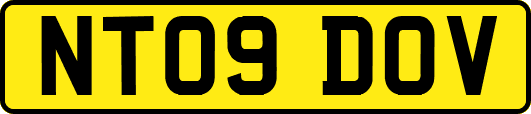 NT09DOV