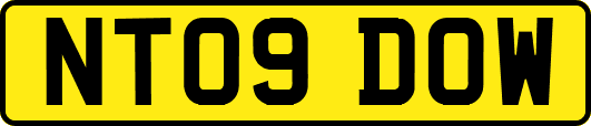 NT09DOW