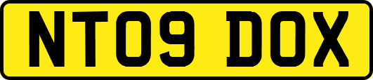 NT09DOX