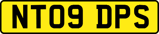 NT09DPS