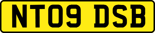 NT09DSB
