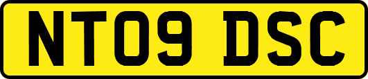 NT09DSC