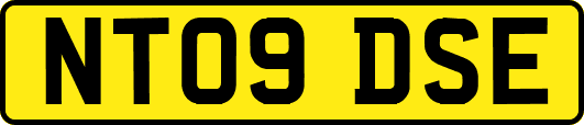 NT09DSE