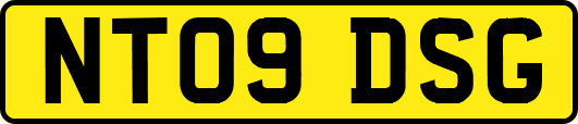 NT09DSG