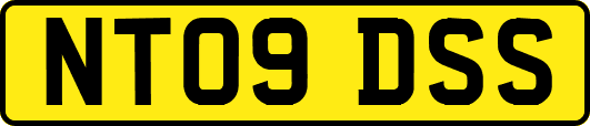 NT09DSS